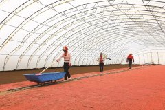 为确保备耕春耕顺行